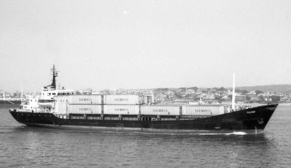 Fulmar por F. Estrañi Fulmar por F. Estrañi